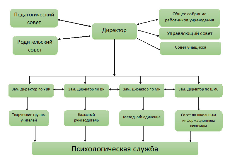 Структура и органы управления образовательной организацией